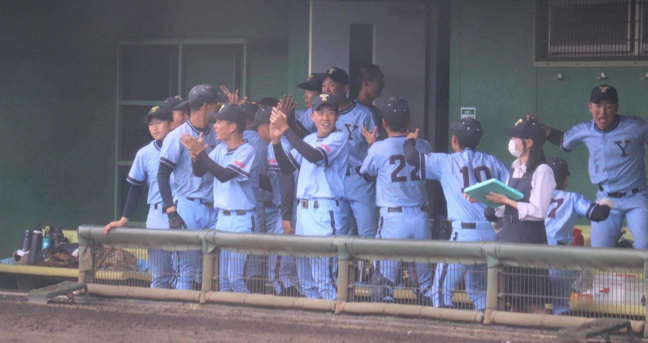 横浜商対白山　5回に先制し盛り上がる横浜商ベンチ（撮影・星夏穂）