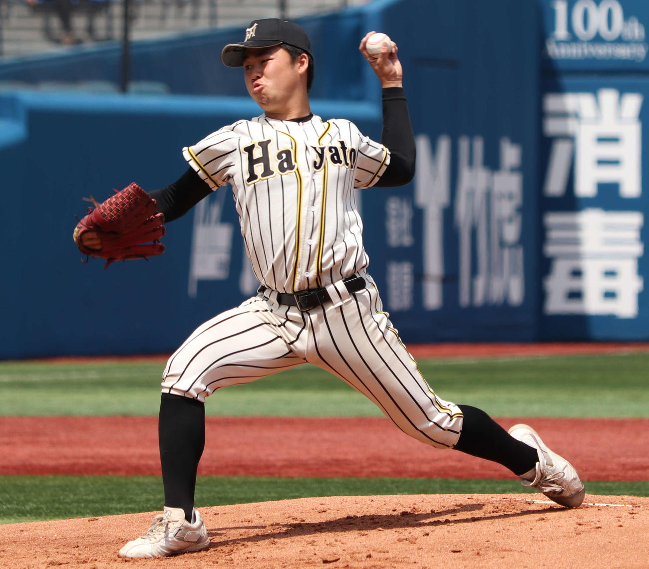 横浜隼人対東海大相模　横浜隼人先発の石橋（撮影・佐瀬百合子）
