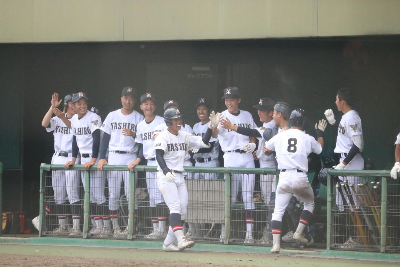 社対神戸国際大付　社は8回に勝ち越しを決めてハイタッチをするベンチ（撮影・林亮佑）