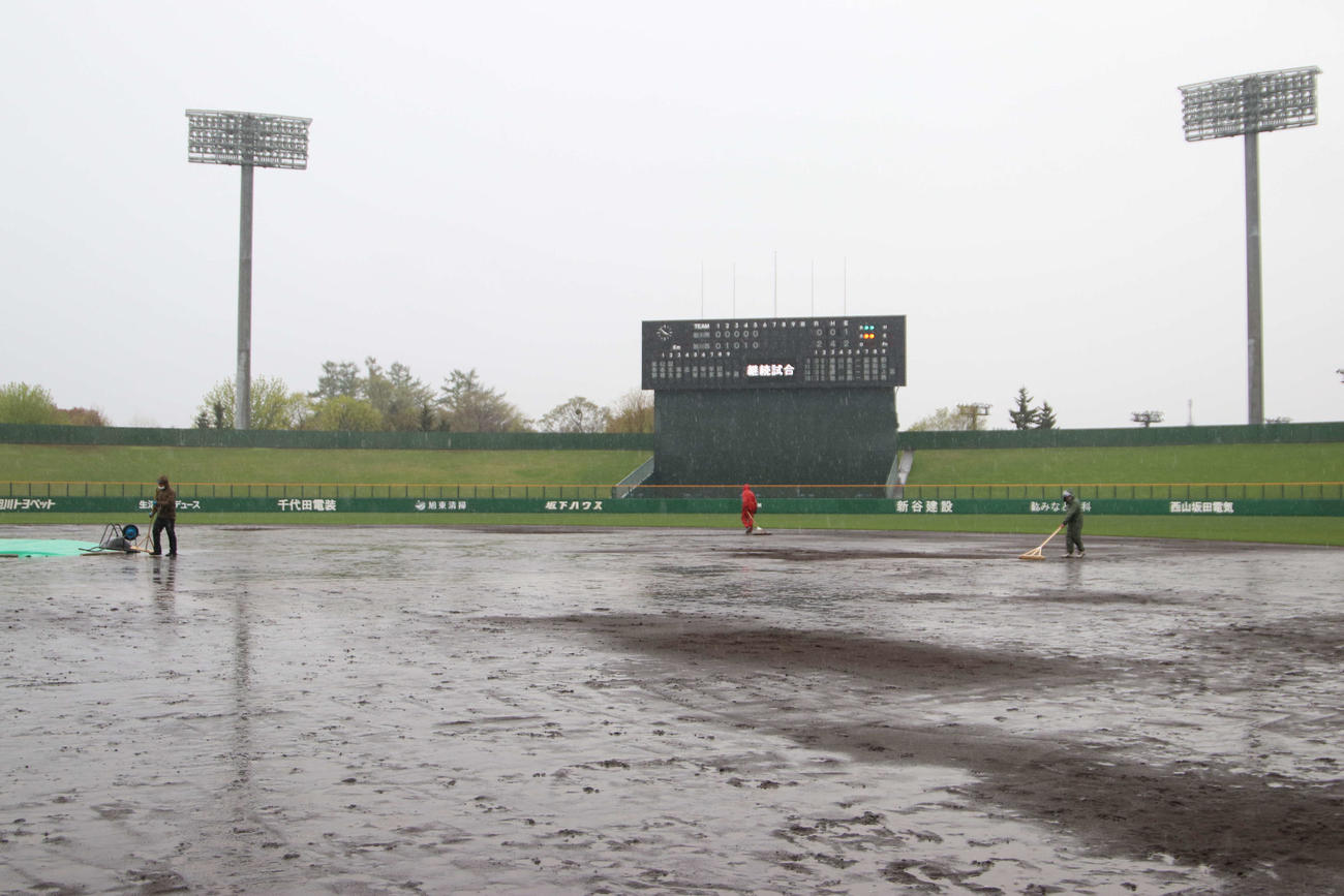 旭川商対旭川西　降雨でぬかるむ旭川スタルヒン球場（撮影・山崎純一）