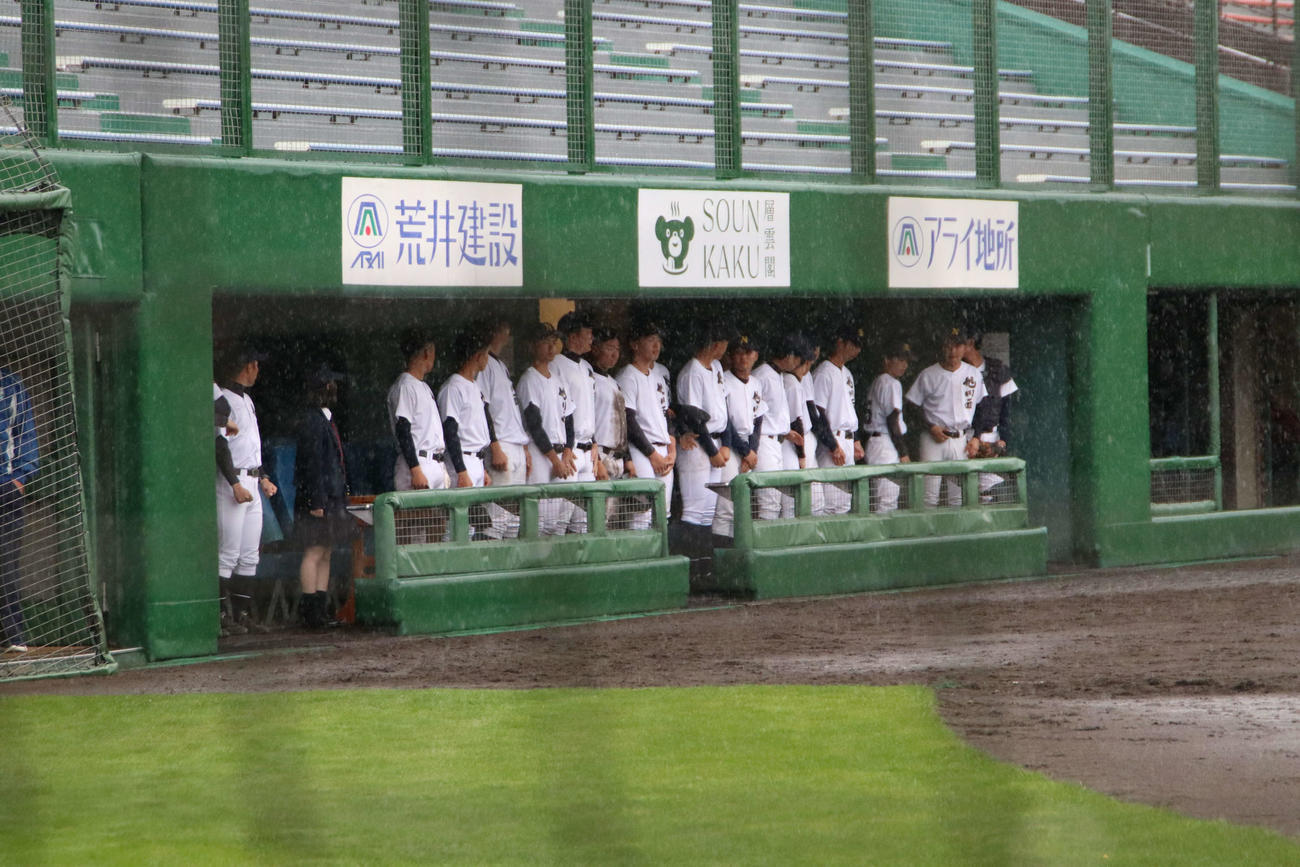 旭川商対旭川西　雨が降る中ベンチで待機する旭川西の選手（撮影・山崎純一）