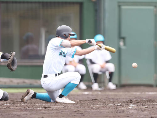 横浜隼人対山梨学院　2回裏山梨学院1死一、三塁、スクイズを決める星野（撮影・宮地輝）