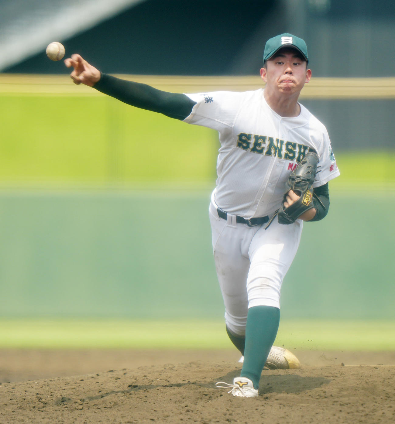 専大松戸対相洋　好投する専大松戸2番手の青野（撮影・江口和貴）