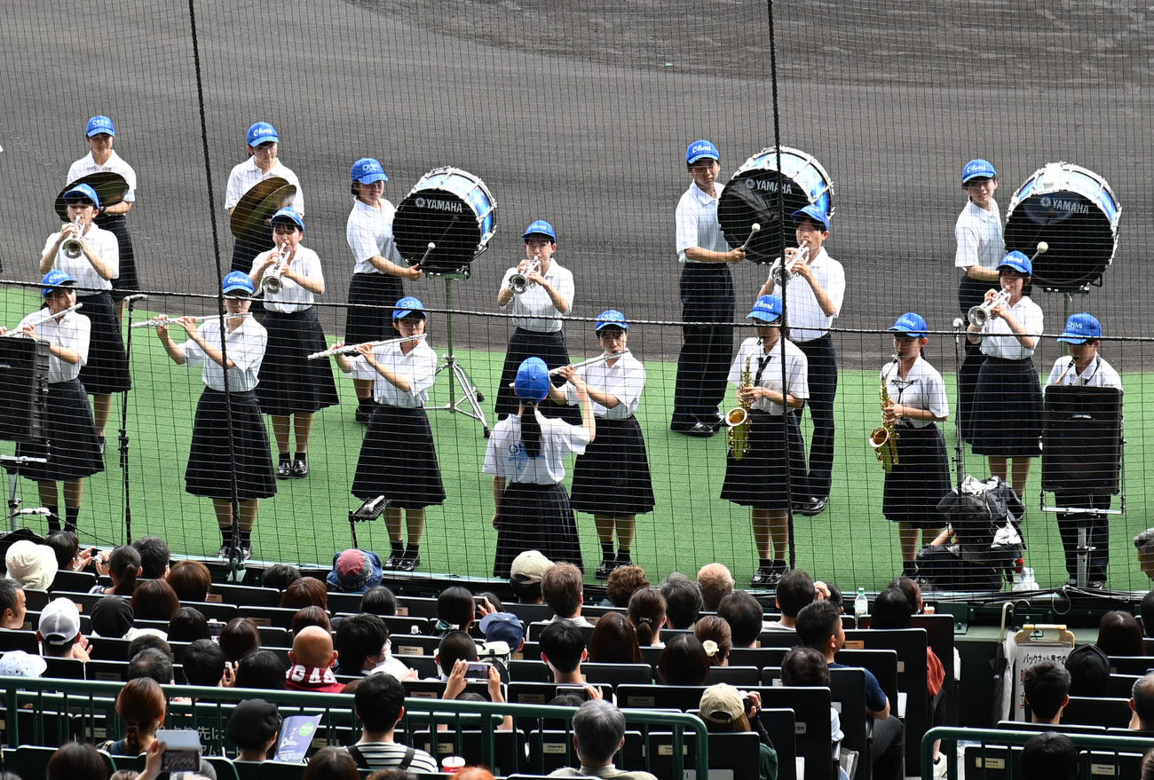 甲子園球場で演奏をする近江高等学校吹奏楽部（撮影・石井愛子）