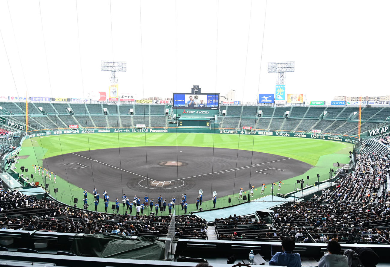 甲子園球場で演奏をする履正社高等学校吹奏楽部（撮影・石井愛子）