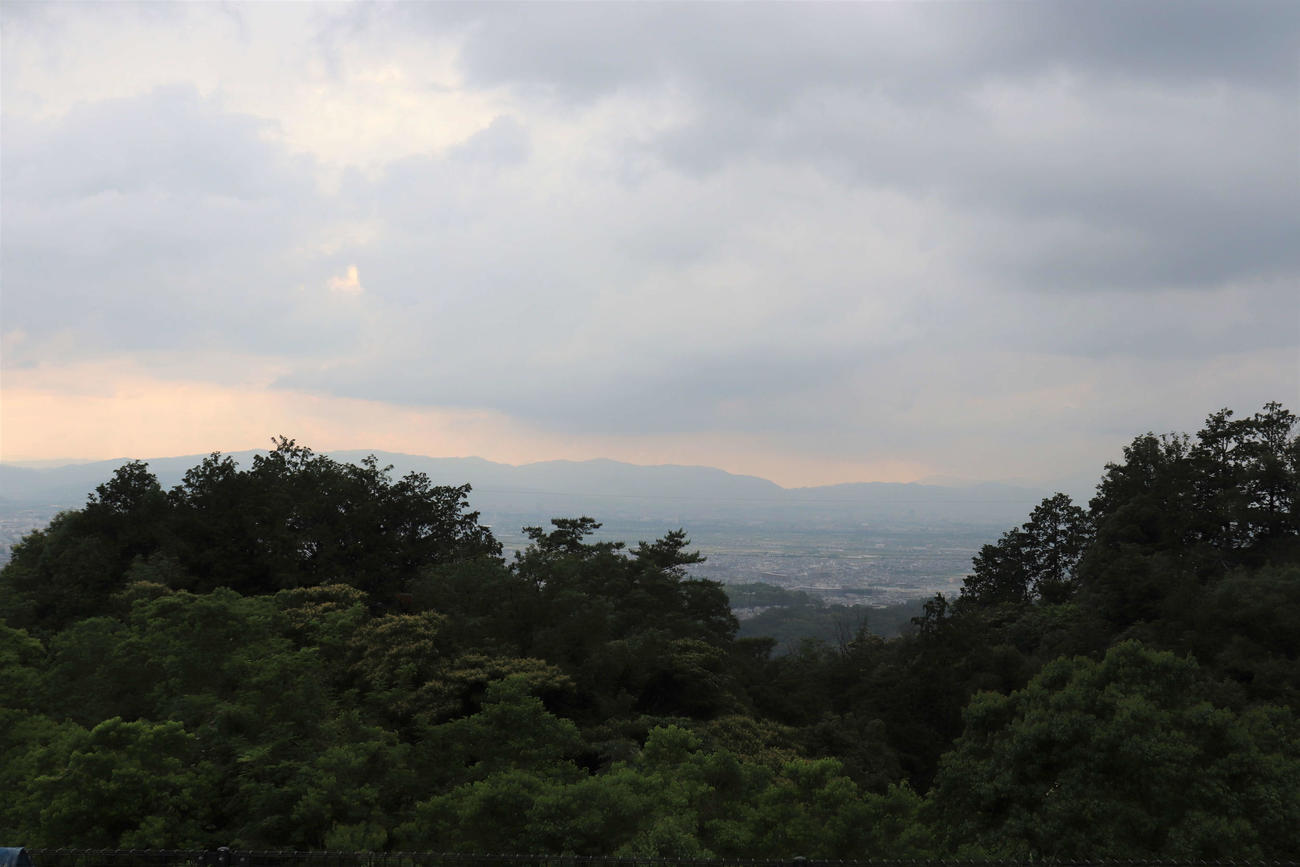 木々が生い茂る道を抜けた先にある、京都翔英高校のグラウンドから見える絶景（撮影・中島麗）