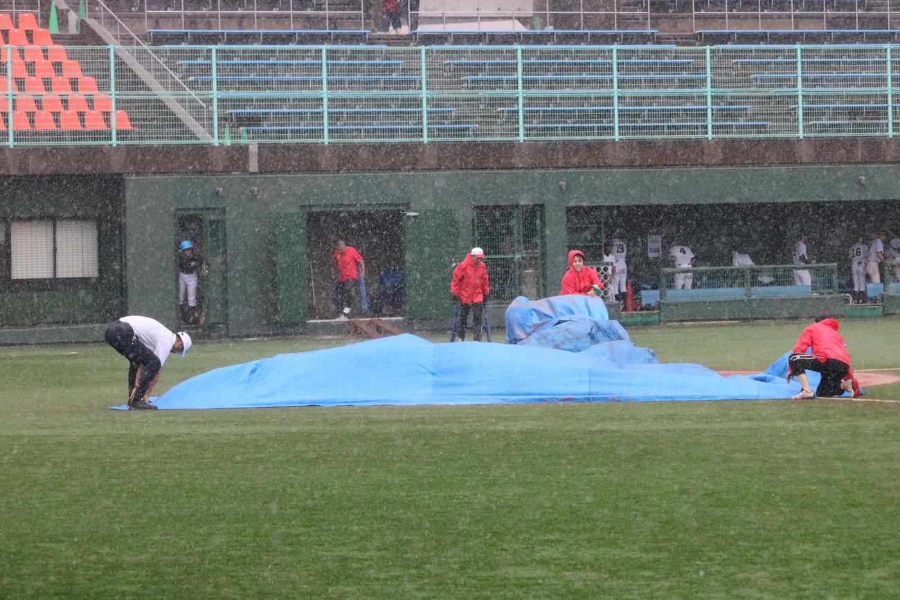 四條畷対三島　5回裏終了時に雨脚が強まり、シートをかぶせるスタッフ（撮影・林亮佑）＝2023年7月9日、南港中央