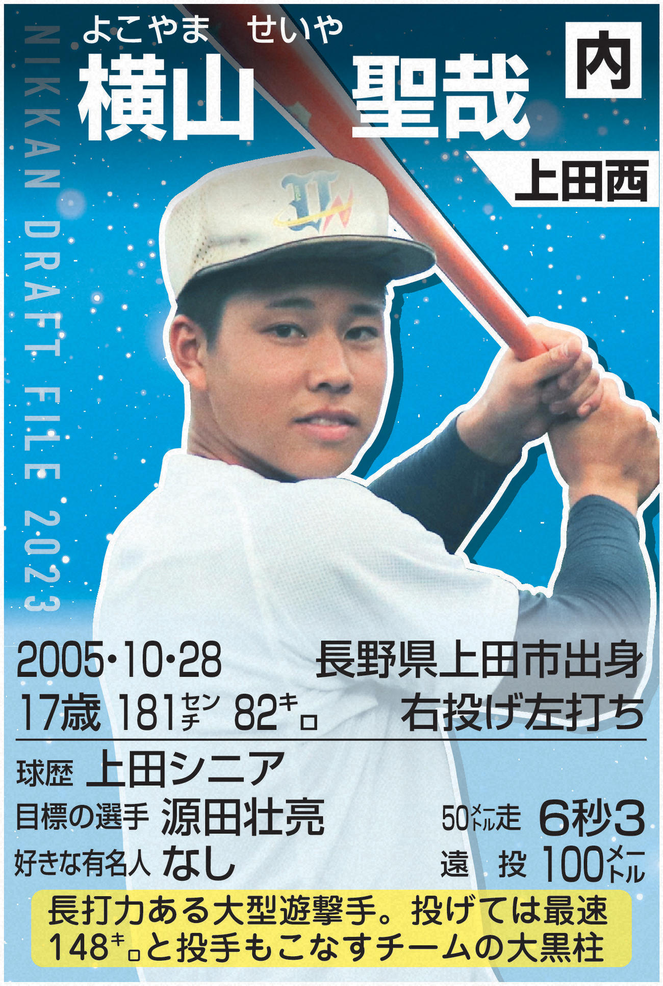 ドラフトファイル：横山聖哉