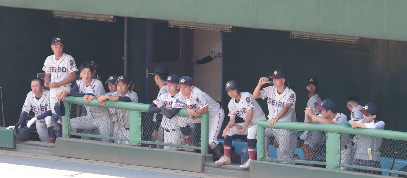 9回、戦況を見つめる聖望学園ベンチ（撮影・佐瀬百合子）