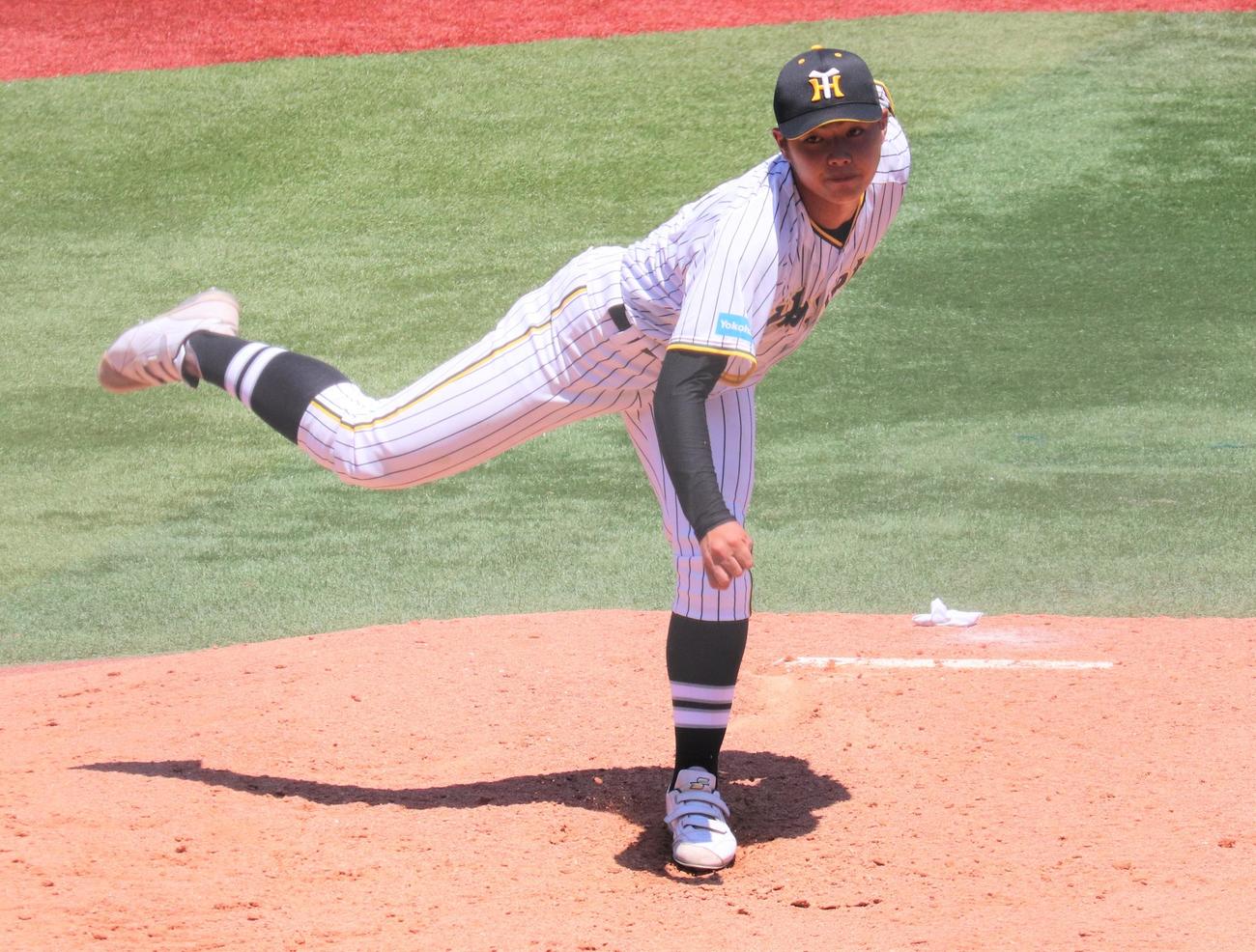 横浜翠嵐対横浜隼人　先発し力投する横浜隼人・山口（撮影・星夏穂）