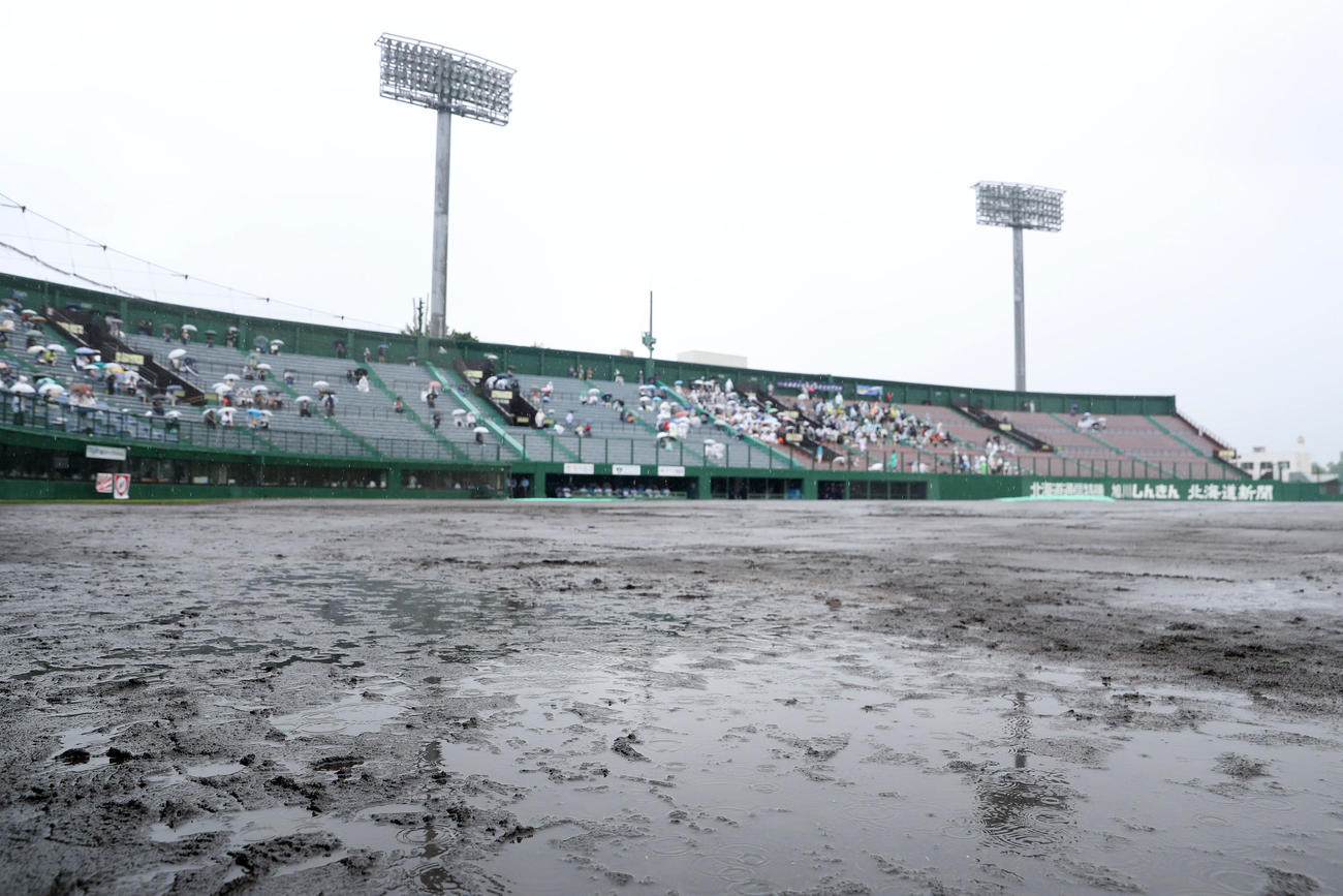 雨で水たまりができる旭川スタルヒン球場（撮影・佐藤翔太）