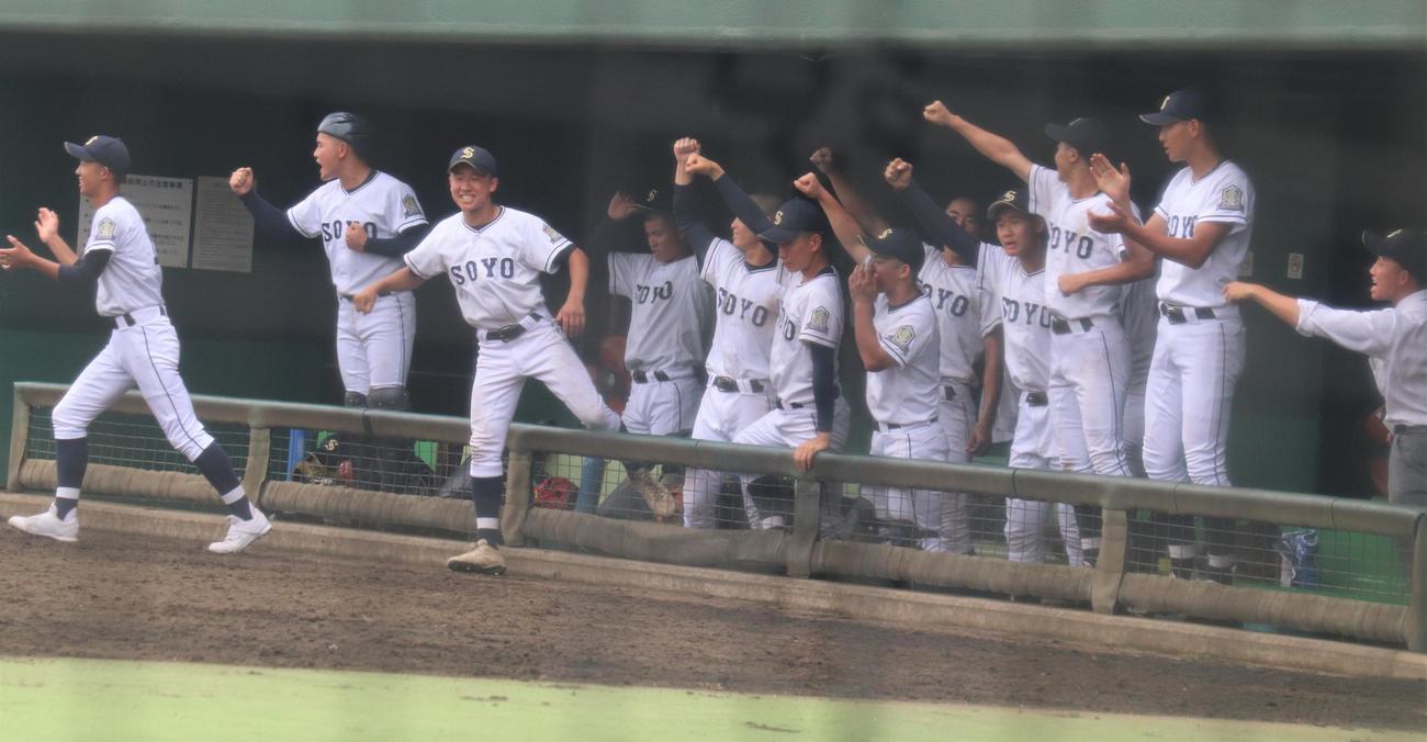日大高対相洋　盛り上がる相洋ベンチ（撮影・星夏穂）