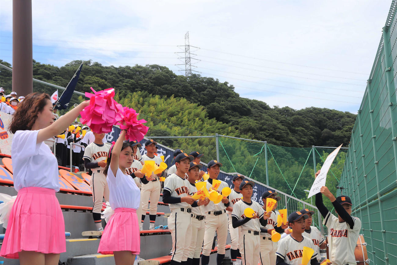 和歌山大会　和歌山工対那賀　和歌山工のスタンド。ピンクのポンポンとスカートでダンス同好会の生徒が初めて野球応援に参加した（撮影・中島麗）