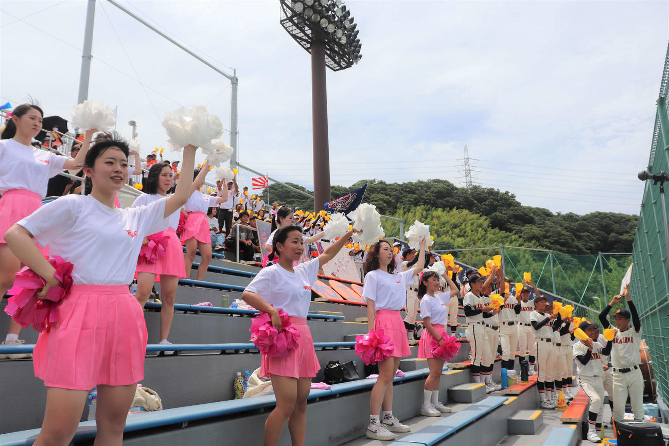 和歌山大会　和歌山工対那賀　和歌山工のスタンド。ダンス同好会の生徒が初めて野球応援に参加した（撮影・中島麗）