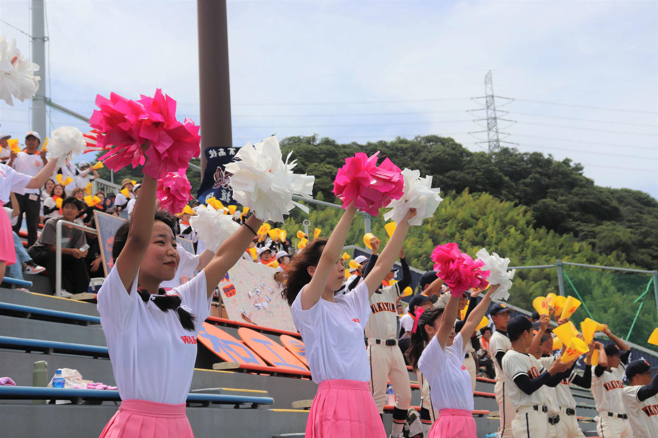 和歌山大会　和歌山工対那賀　和歌山工のスタンド。ダンス同好会の生徒が初めて野球応援に参加した（撮影・中島麗）