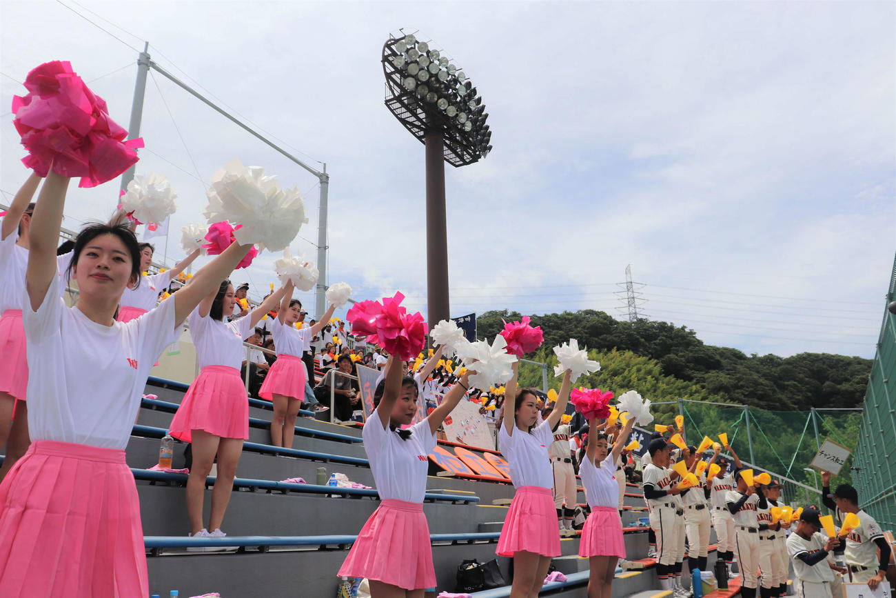 和歌山大会　和歌山工対那賀　和歌山工のスタンド。ダンス同好会の生徒が初めて野球応援に参加した（撮影・中島麗）