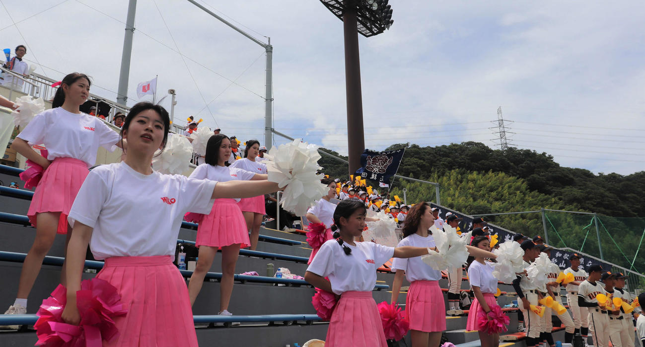 和歌山大会　和歌山工対那賀　和歌山工のスタンド。ダンス同好会の生徒が初めて野球応援に参加した（撮影・中島麗）