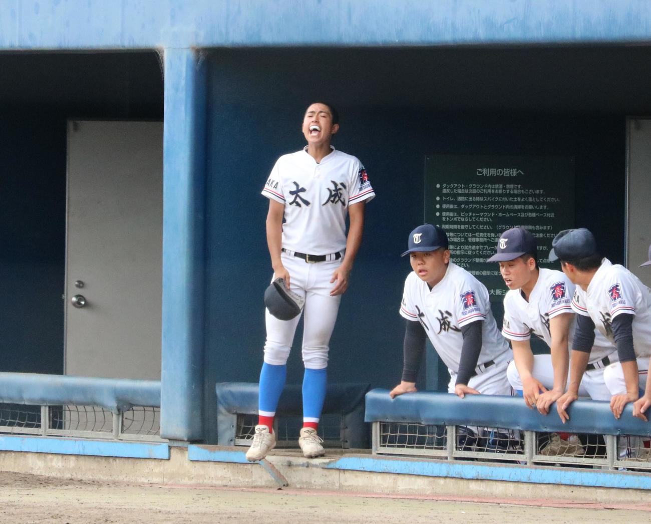 太成学院大高の平田はベンチから声を出す（撮影・林亮佑）