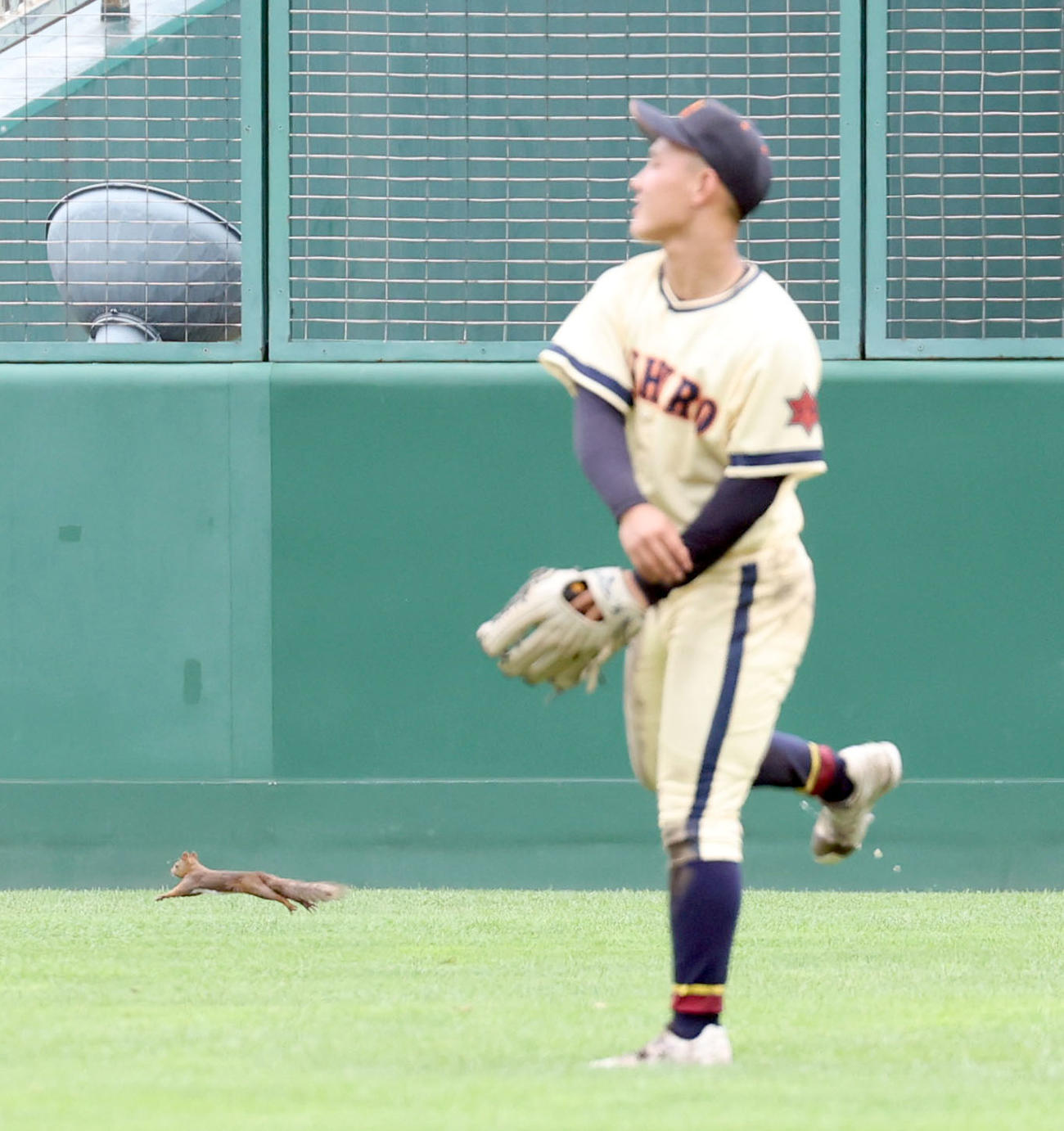 帯広農対旭川永嶺　試合中に乱入してきたエゾリス（撮影・佐藤翔太）