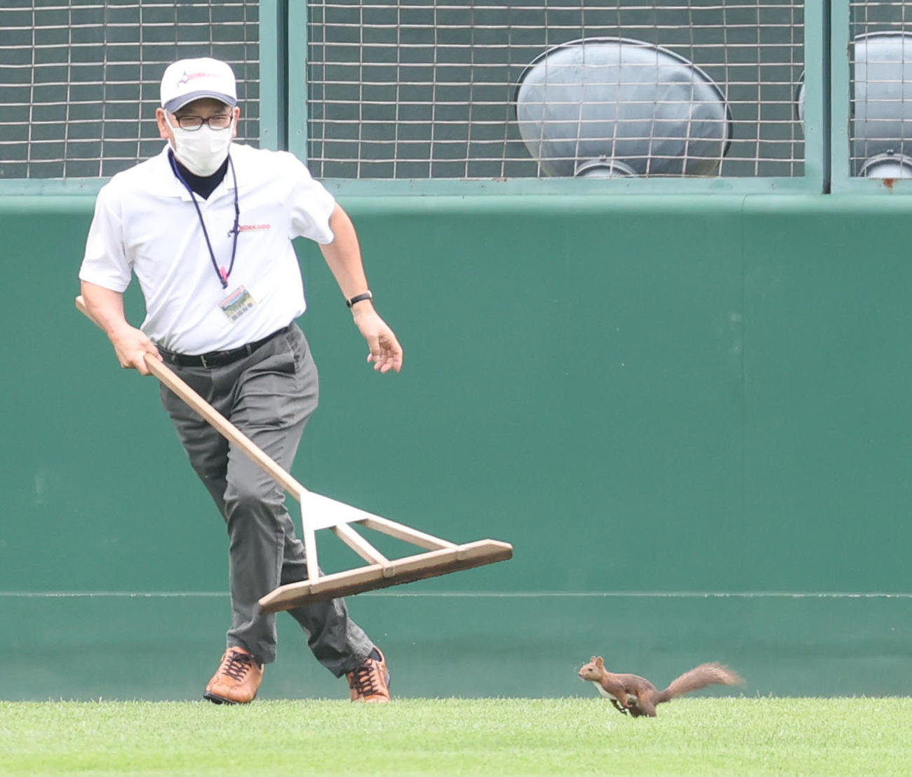 帯広農対旭川永嶺　試合中に乱入してきたエゾリス（撮影・佐藤翔太）