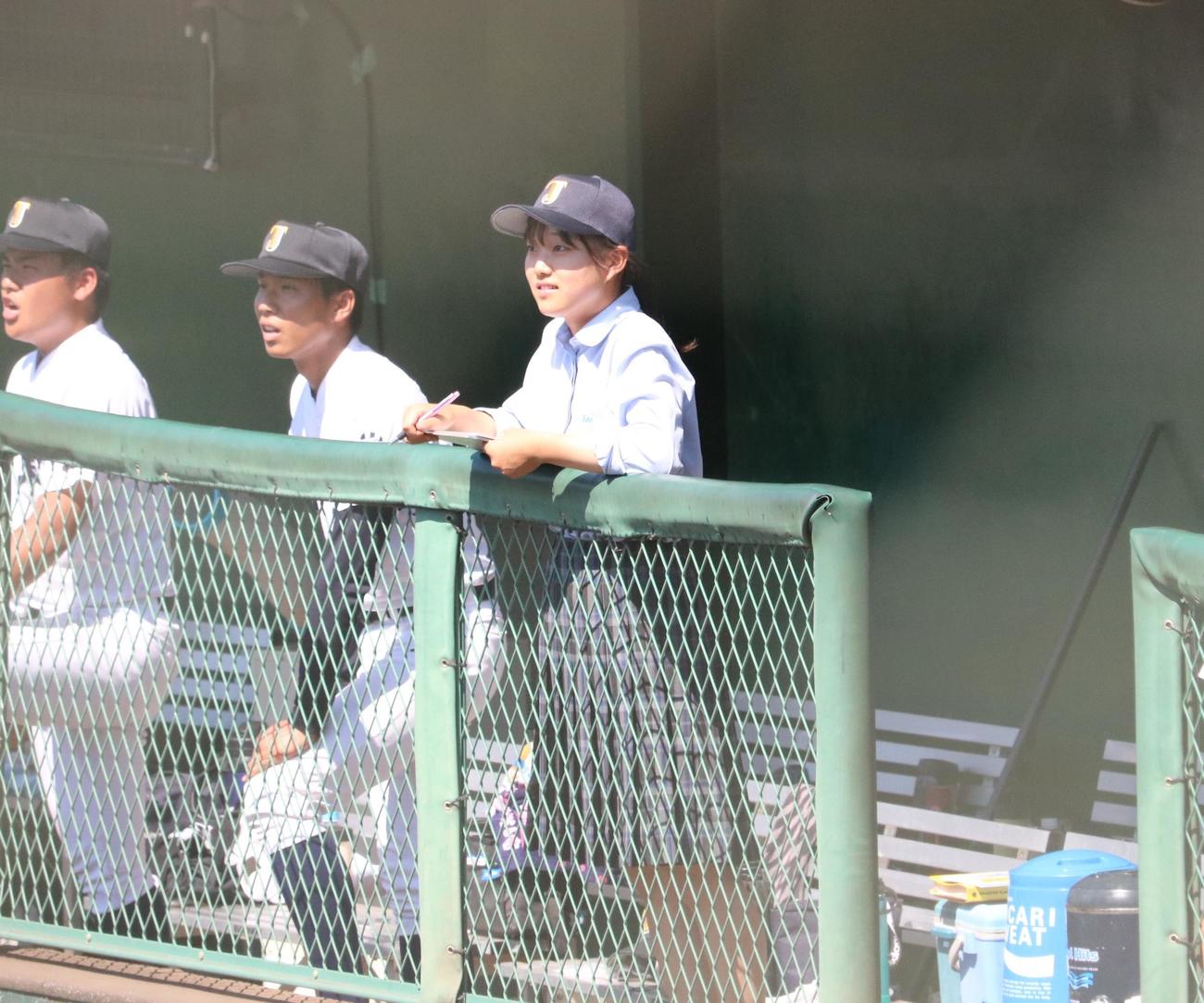 城東対徳島商　城東の永野悠菜マネジャー（3年）がベンチでスコアを書く（撮影・林亮佑）＝2023年7月17日、オロナミンC球場