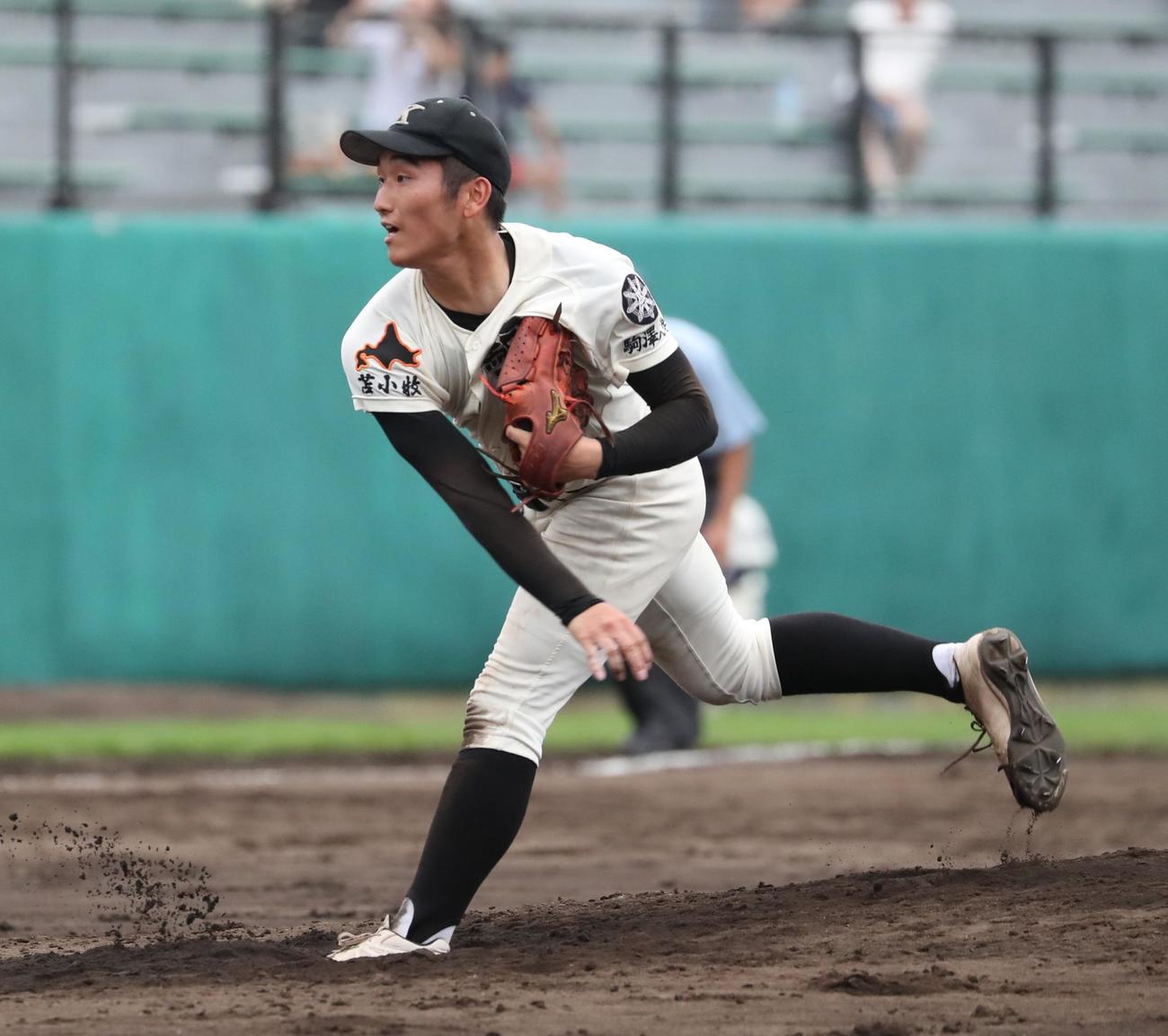 北照対駒大苫小牧　力投する駒大苫小牧・大森（撮影・黒川智章）
