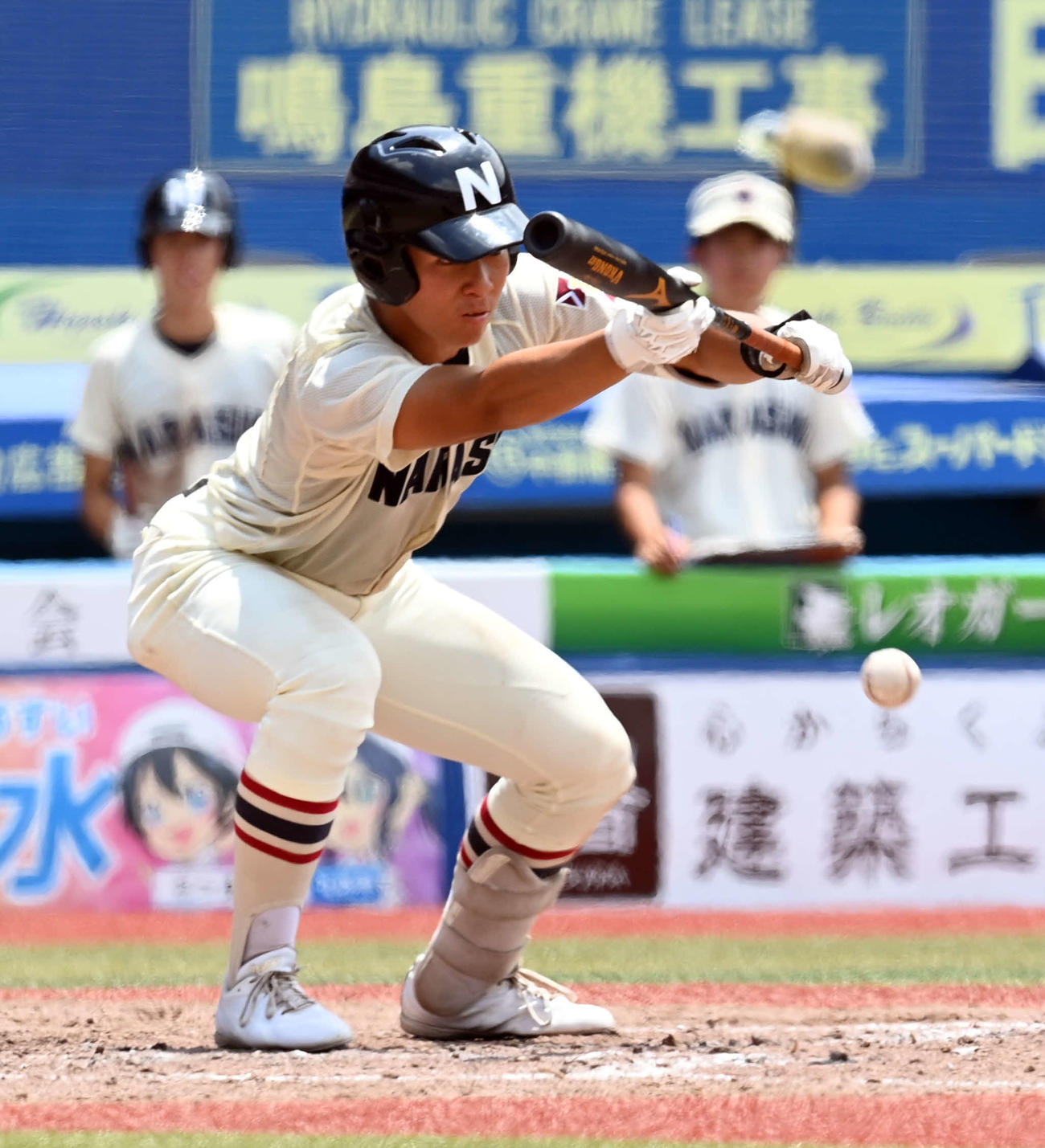 習志野対市船橋　5回表習志野無死一塁、送りバントを決める4番の佐藤（撮影・たえ見朱実）