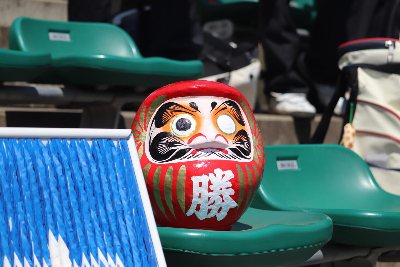 兵庫大会・神戸弘陵　試合を見つめる必勝だるま（撮影・松野奈音）