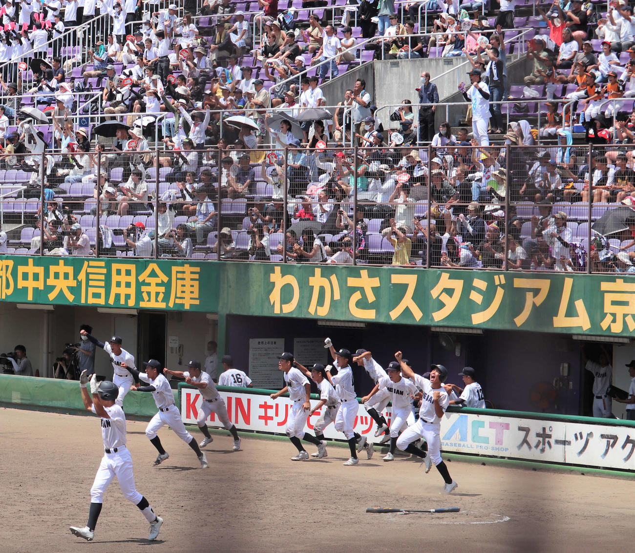 京都大会　京都成章対龍谷大平安　10回タイブレーク無死満塁で松浦玄士捕手（3年）の左前サヨナラ適時打に喜び、ベンチを飛び出すナイン（撮影・中島麗）