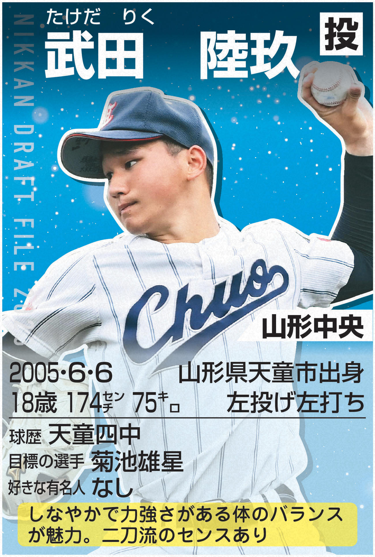 ドラフトファイル：武田陸玖