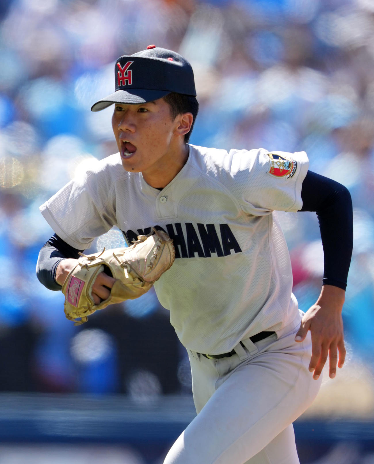 横浜商対横浜　3回表を無失点に抑えほえる横浜・切無沢（撮影・横山健太）
