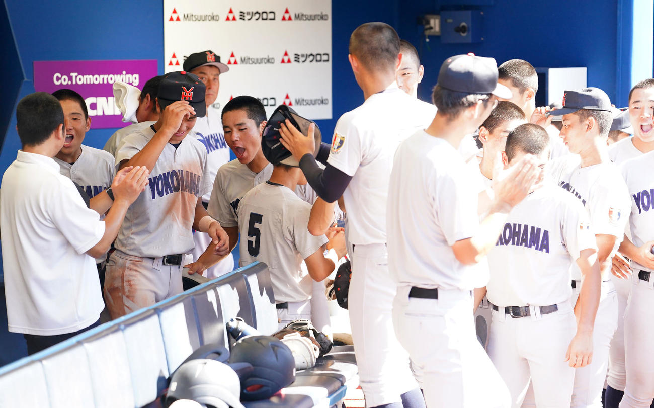 横浜商対横浜　試合直後のミーティングを終え、ベンチで勝利の喜びを爆発させる横浜ナイン（撮影・横山健太）
