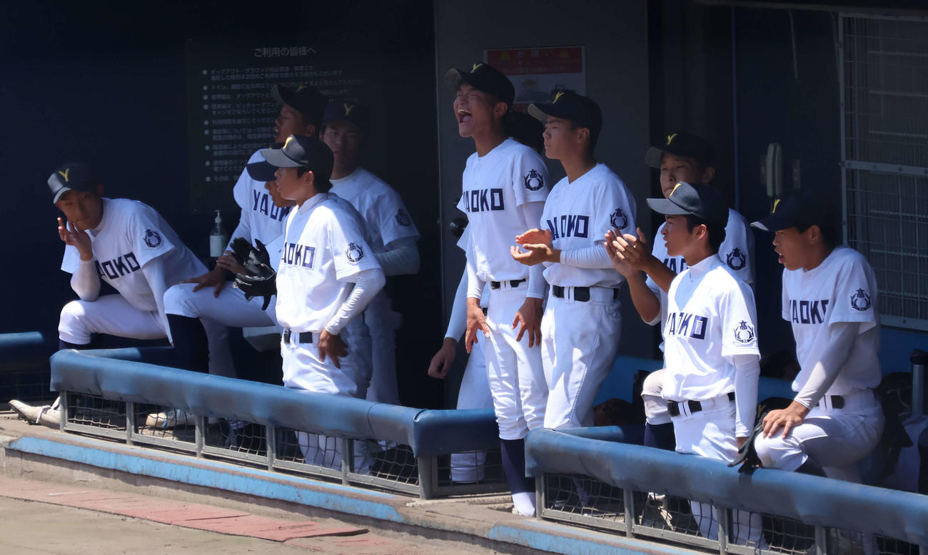 履正社対八尾　八尾のベンチで選手に声を張り上げて声援を送る中西（中央）