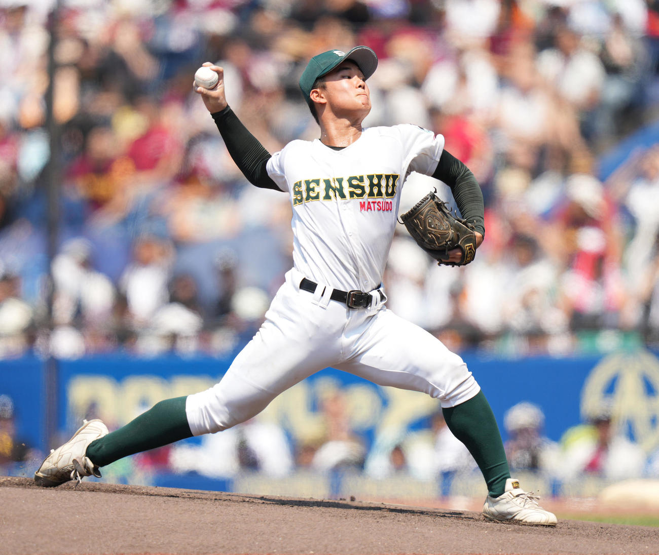 習志野対専大松戸　先発し力投する専大松戸・梅沢（撮影・鈴木みどり）