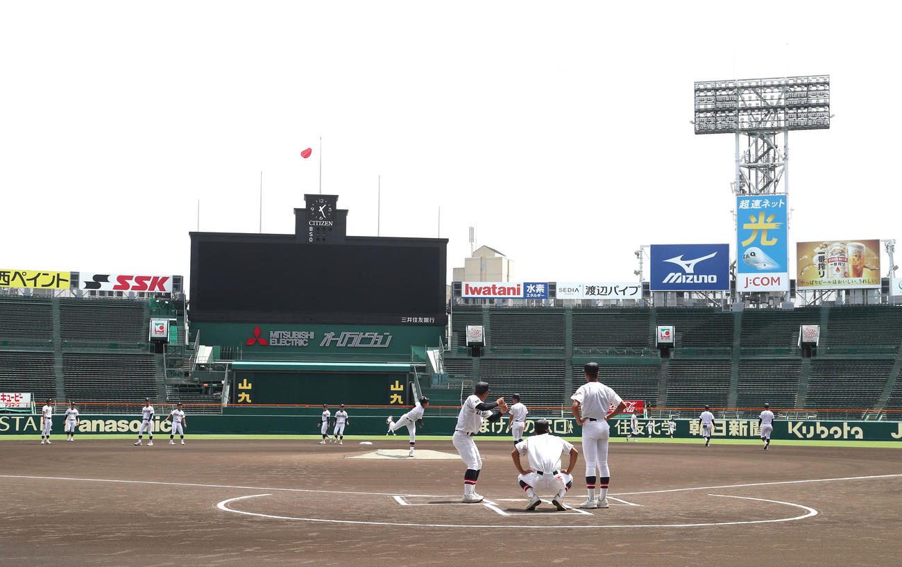 甲子園見学会でグラウンドの感触を確かめる社ナイン（撮影・白石智彦）