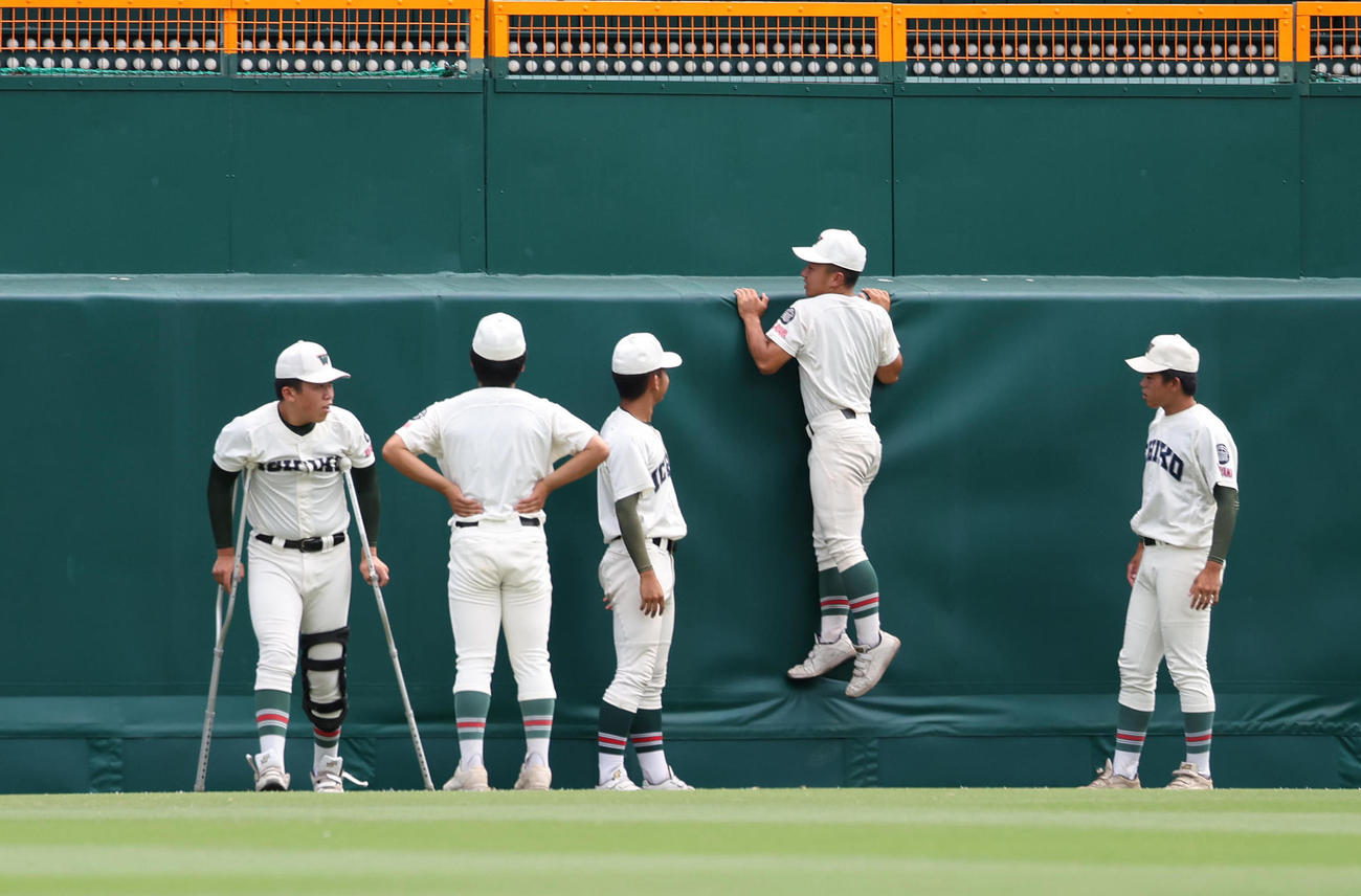 甲子園見学会で外野のラバーを確かめる市和歌山ナイン（撮影・白石智彦）