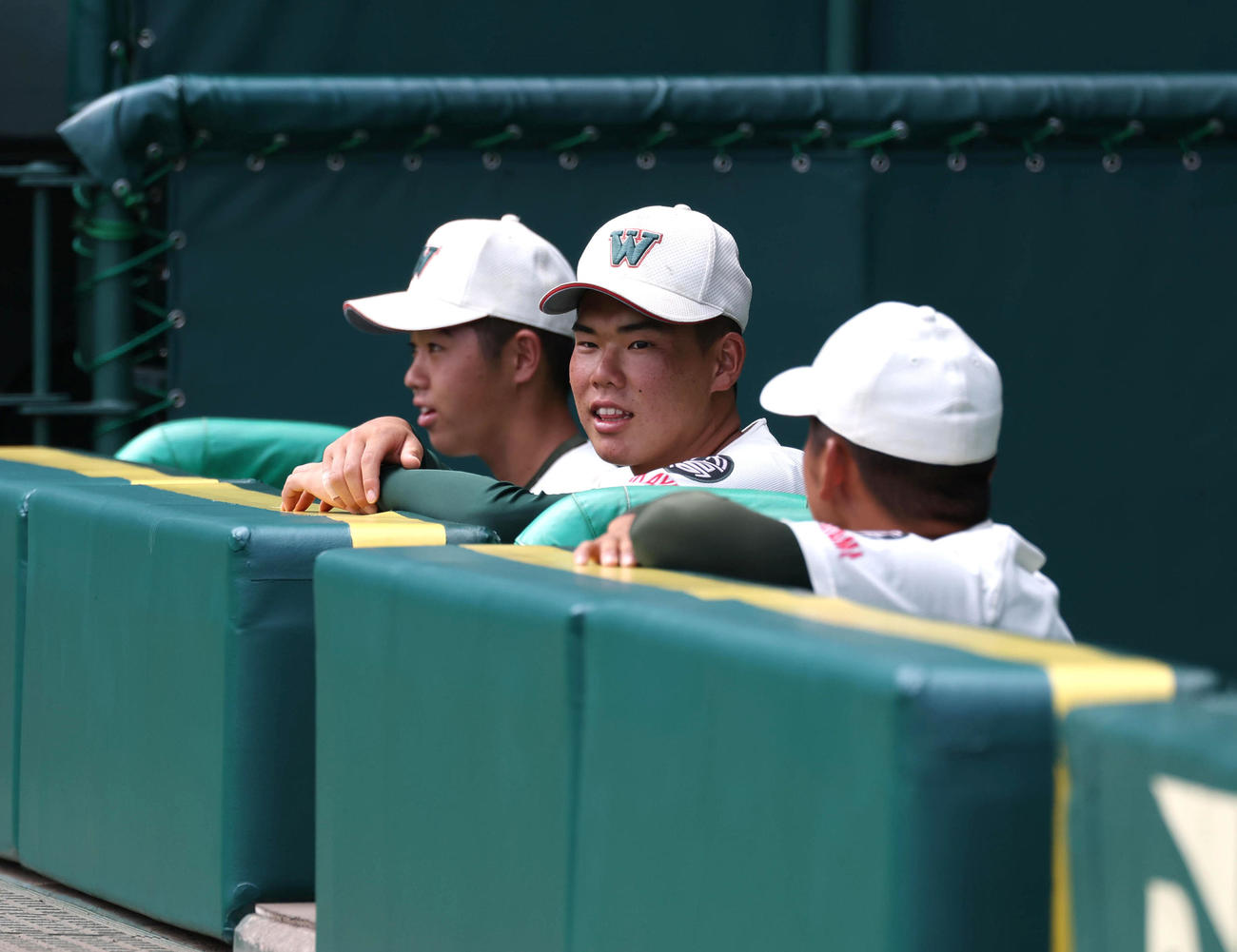 甲子園見学会でベンチからグラウンドを見る市和歌山ナイン（撮影・白石智彦）