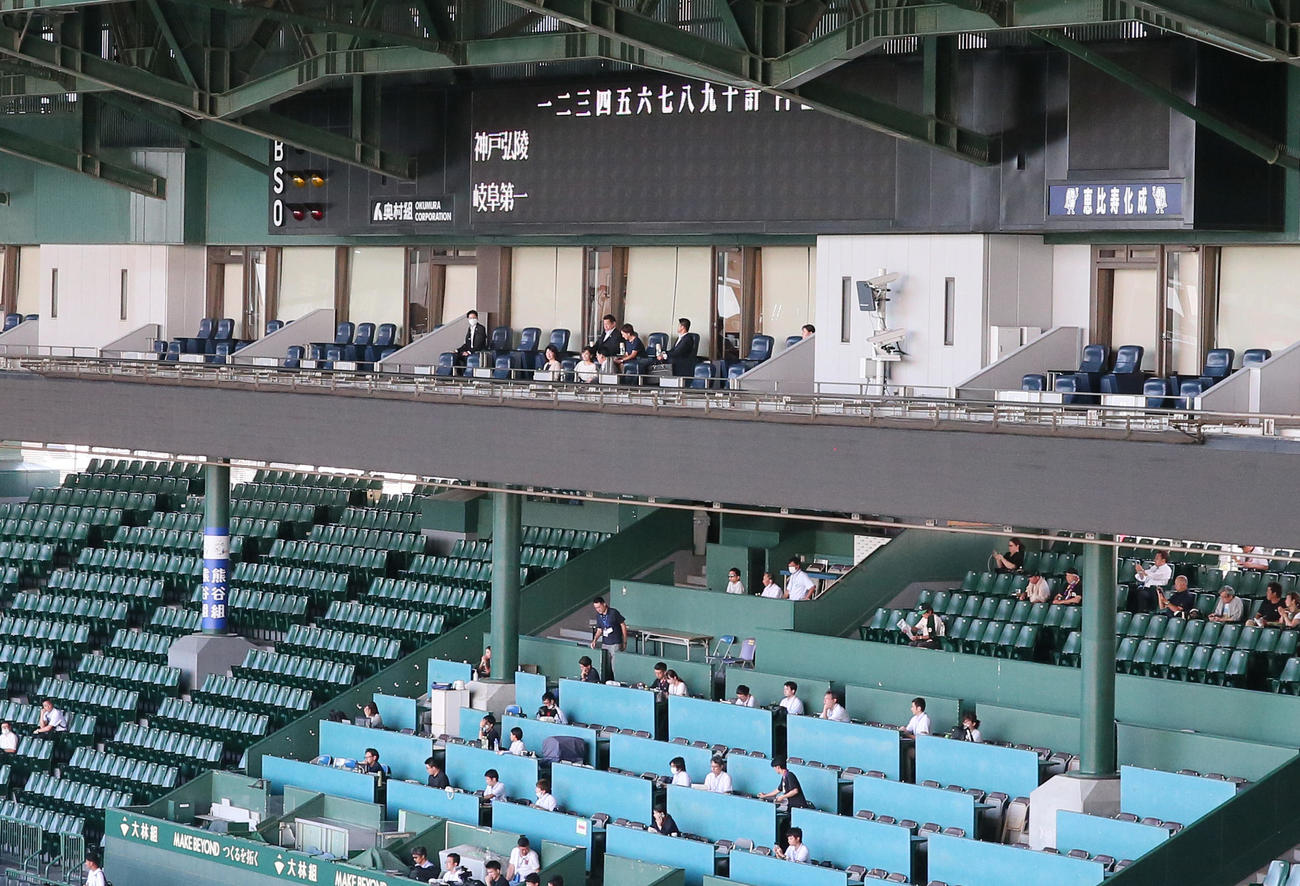 神戸弘陵対岐阜一　甲子園球場で観戦する秋篠宮家の次女佳子さま（撮影・上山淳一）