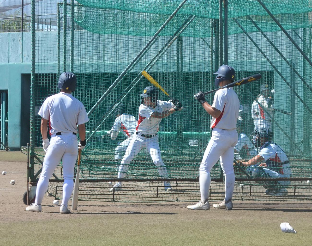 初戦の仙台育英戦に向けてバッティング練習を行う浦和学院ナイン（撮影・星夏穂）