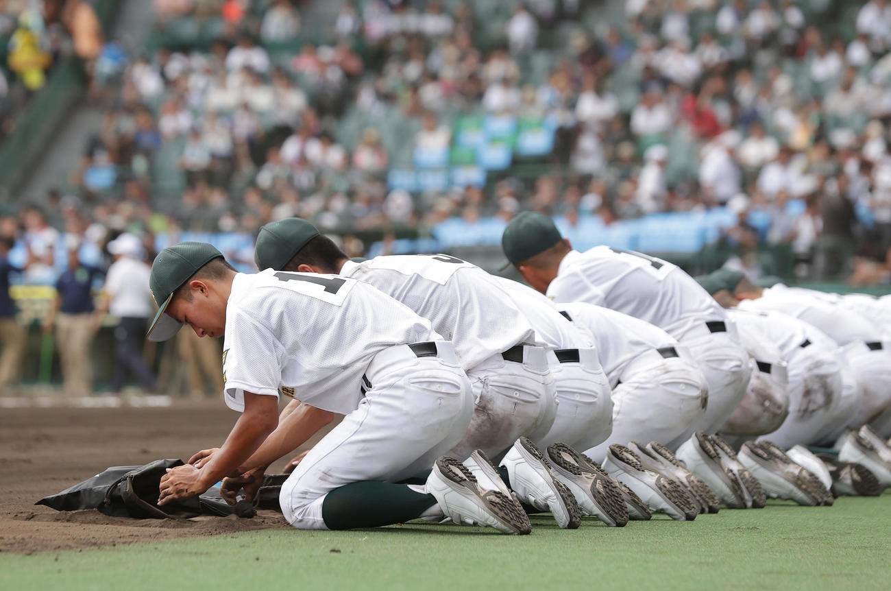 履正社対鳥取商　履正社に敗れ、甲子園球場の土を集める鳥取商ナイン（撮影・前田充）