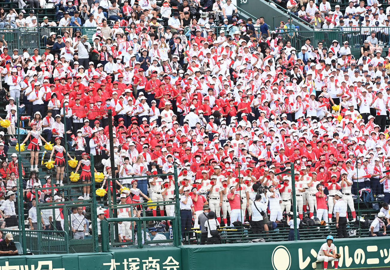 智弁学園対英明　智弁学園アルプス（撮影・前岡正明）