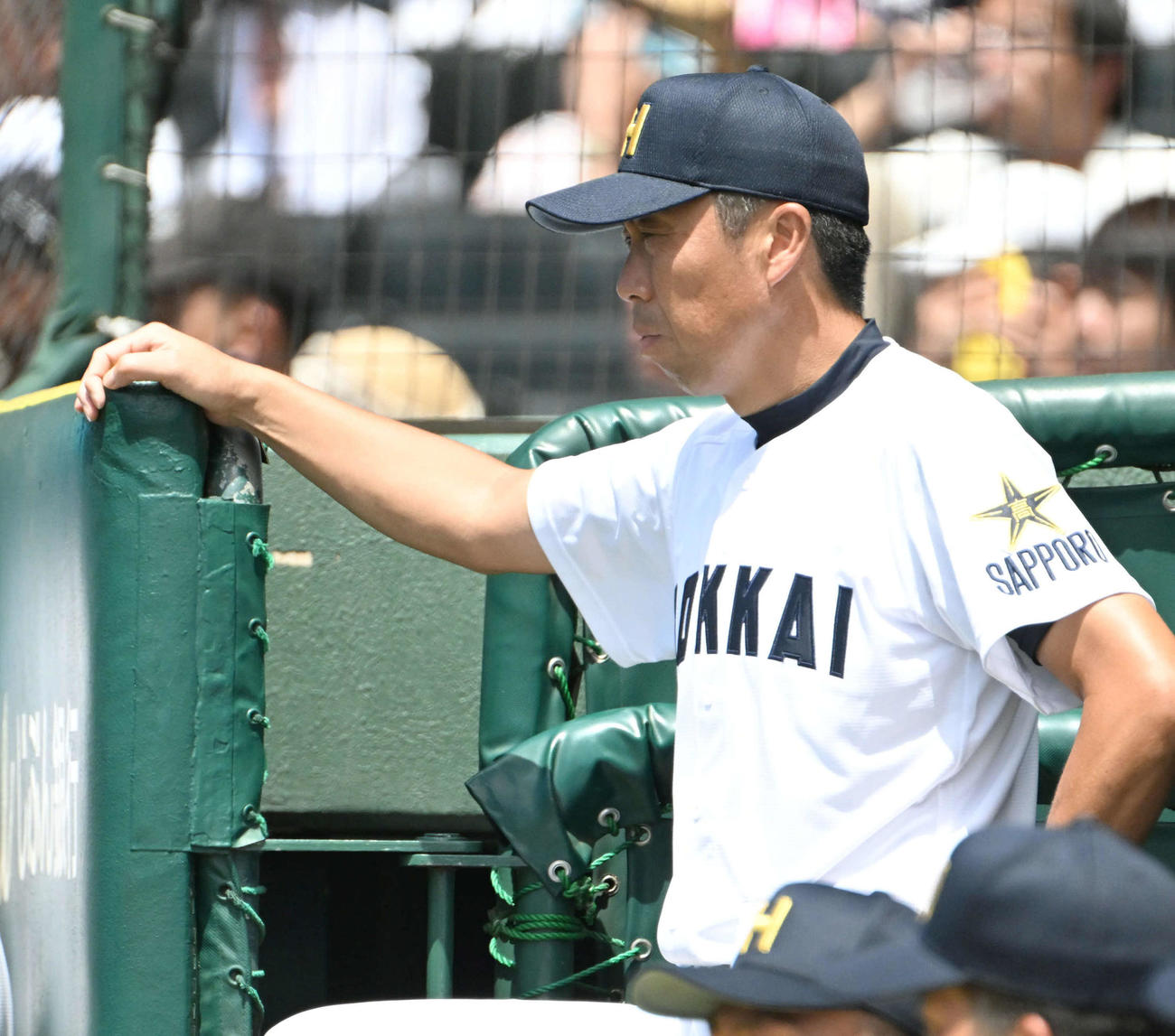 明豊対北海　試合を見つめる北海の平川監督（撮影・石井愛子）