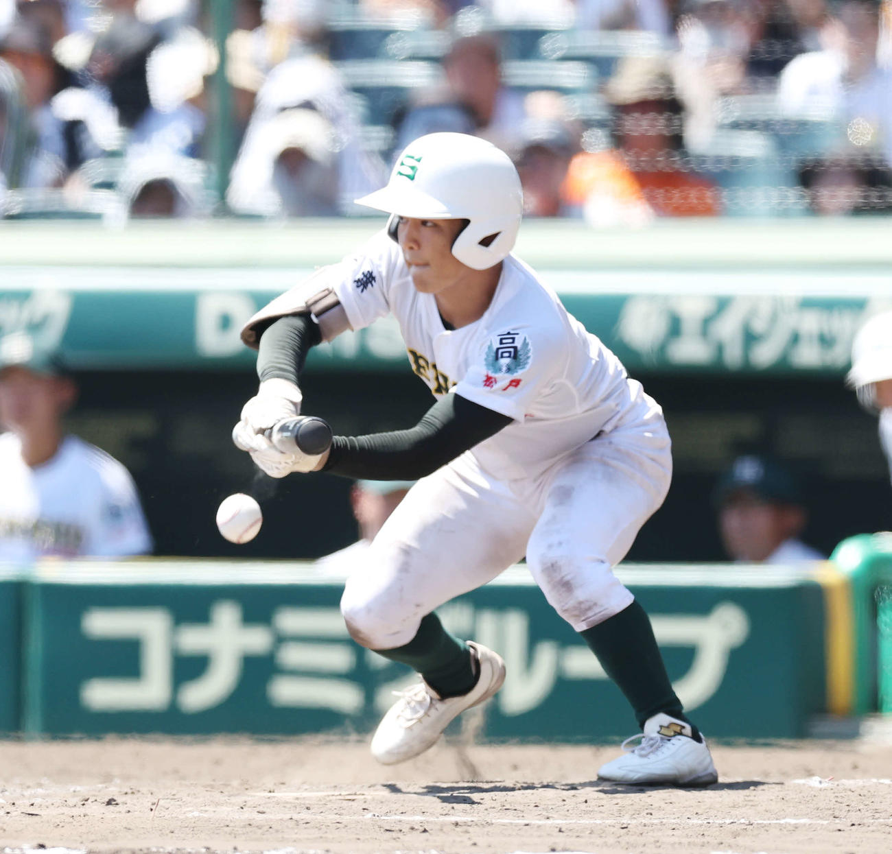 専大松戸対東海大甲府　7回裏専大松戸1死一、三塁、勝ち越しスクイズを決める上迫田（撮影・宮地輝）