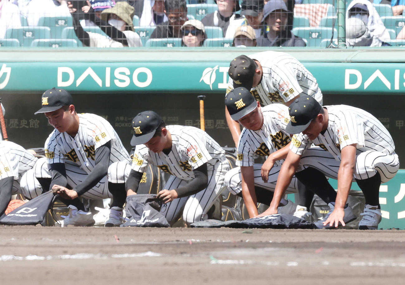 八戸学院光星対ノースアジア大明桜　敗れて甲子園の土を集めるノースアジア大明桜の選手たち（撮影・宮地輝）