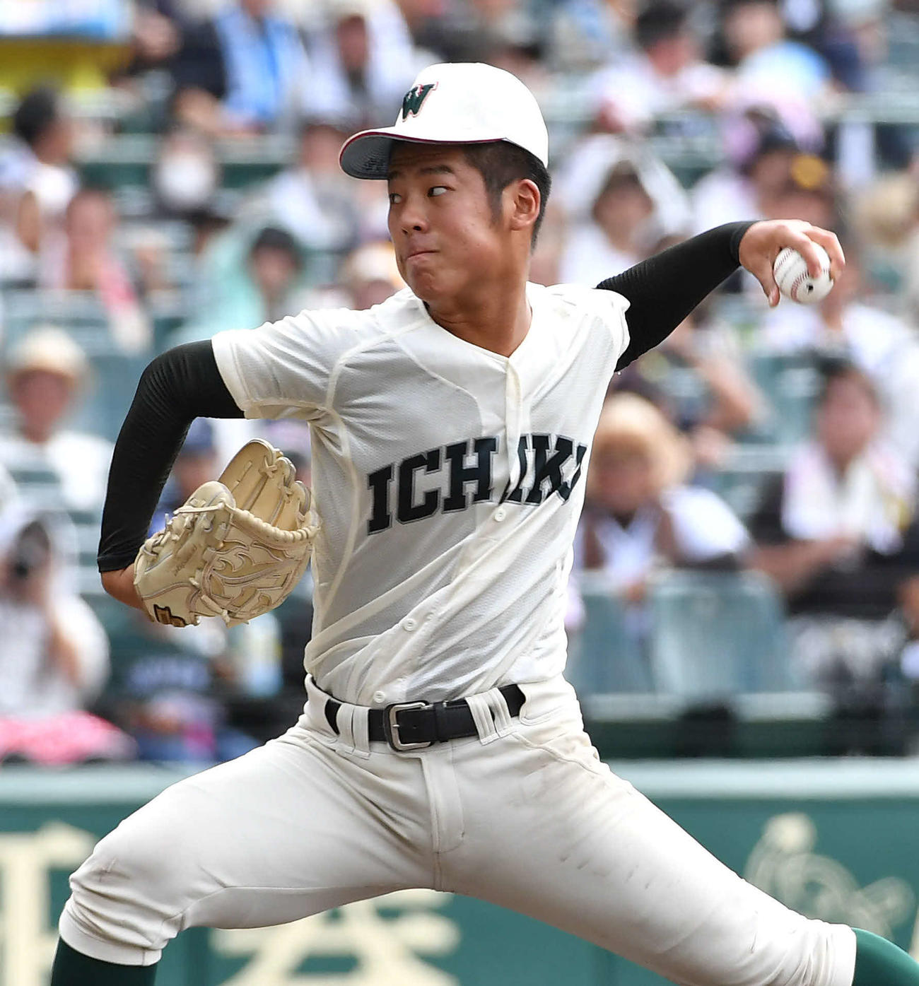 神村学園対市和歌山　市和歌山先発の川本（撮影・岩下翔太）