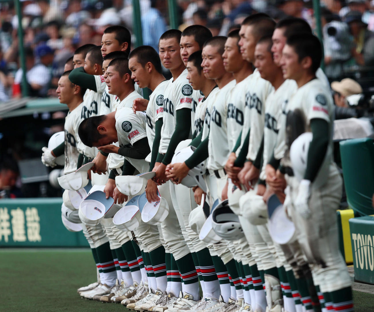 神村学園対市和歌山　神村学園に敗れベンチ前に整列し号泣する市和歌山ナイン（撮影・加藤哉）