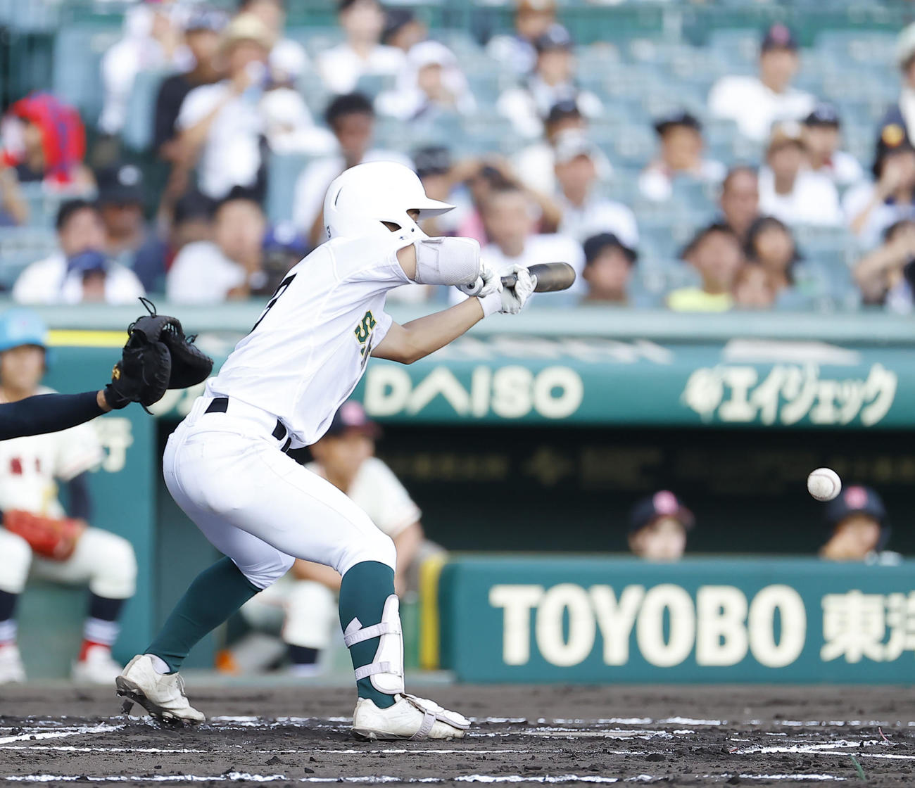 専大松戸対土浦日大　1回表専大松戸1死一、三塁、投前にスクイズを決める広川（撮影・藤尾明華）