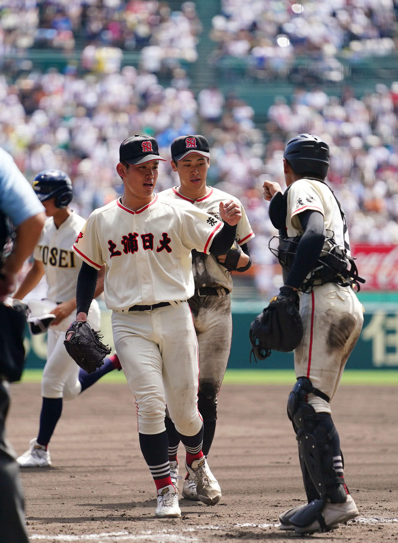 土浦日大対八戸学院光星　準決勝進出を果たし歓喜する藤本（左）ら土浦日大ナイン（撮影・横山健太）