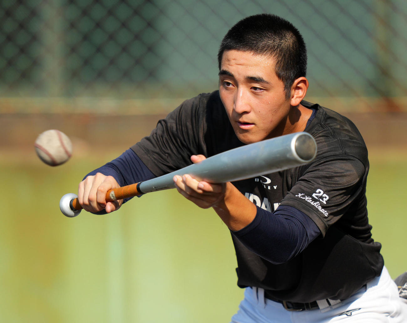 バント練習をする仙台育英・橋本（撮影・横山健太）