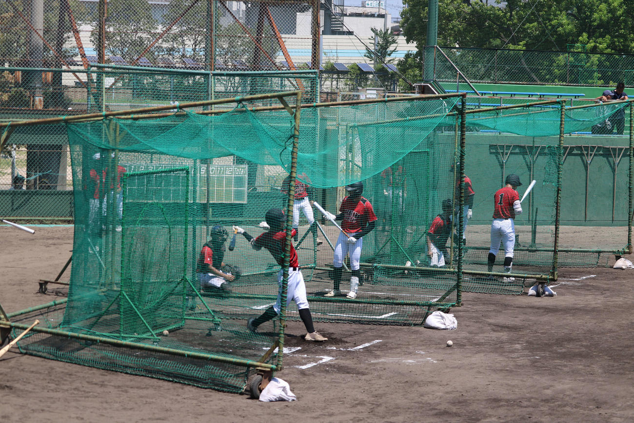 準決勝を前に、打撃練習に臨む土浦日大の選手たち（撮影・保坂淑子）